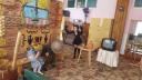 Спектакль, подготовленный воспитанниками ДОУ